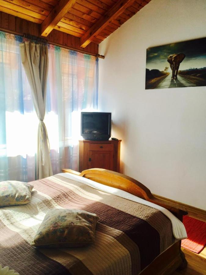 Rolling Stone Hostel Braşov Eksteriør bilde