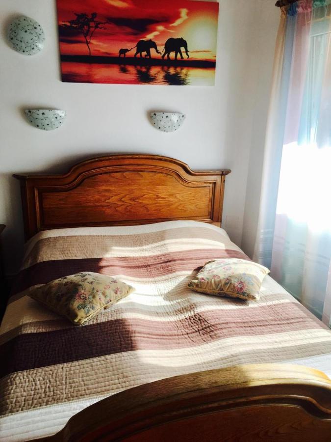 Rolling Stone Hostel Braşov Eksteriør bilde